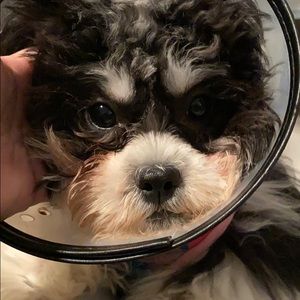 Meet your Posher, Natividad